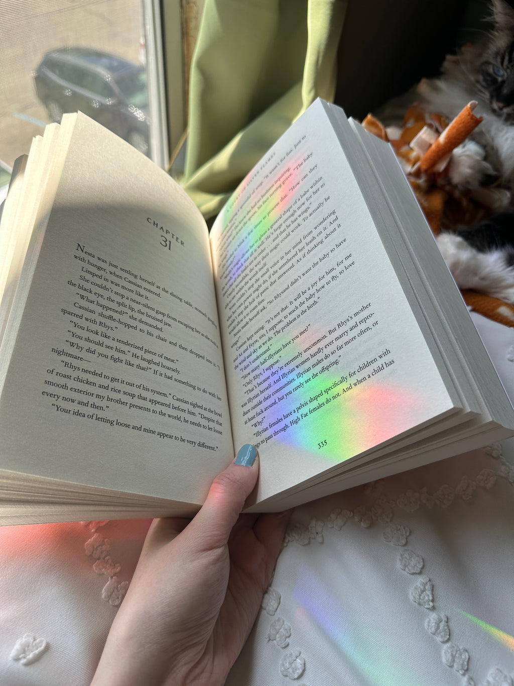 Heart Shell Suncatcher Window Decal/Sticker